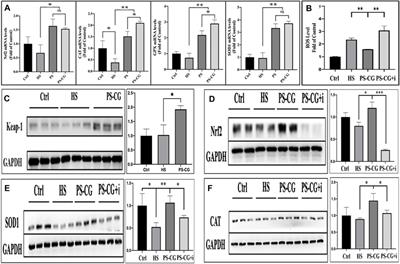 A new antioxidant made from a pterostilbene functionalized graphene nanocomposite as an efficient treatment for dry eye disease